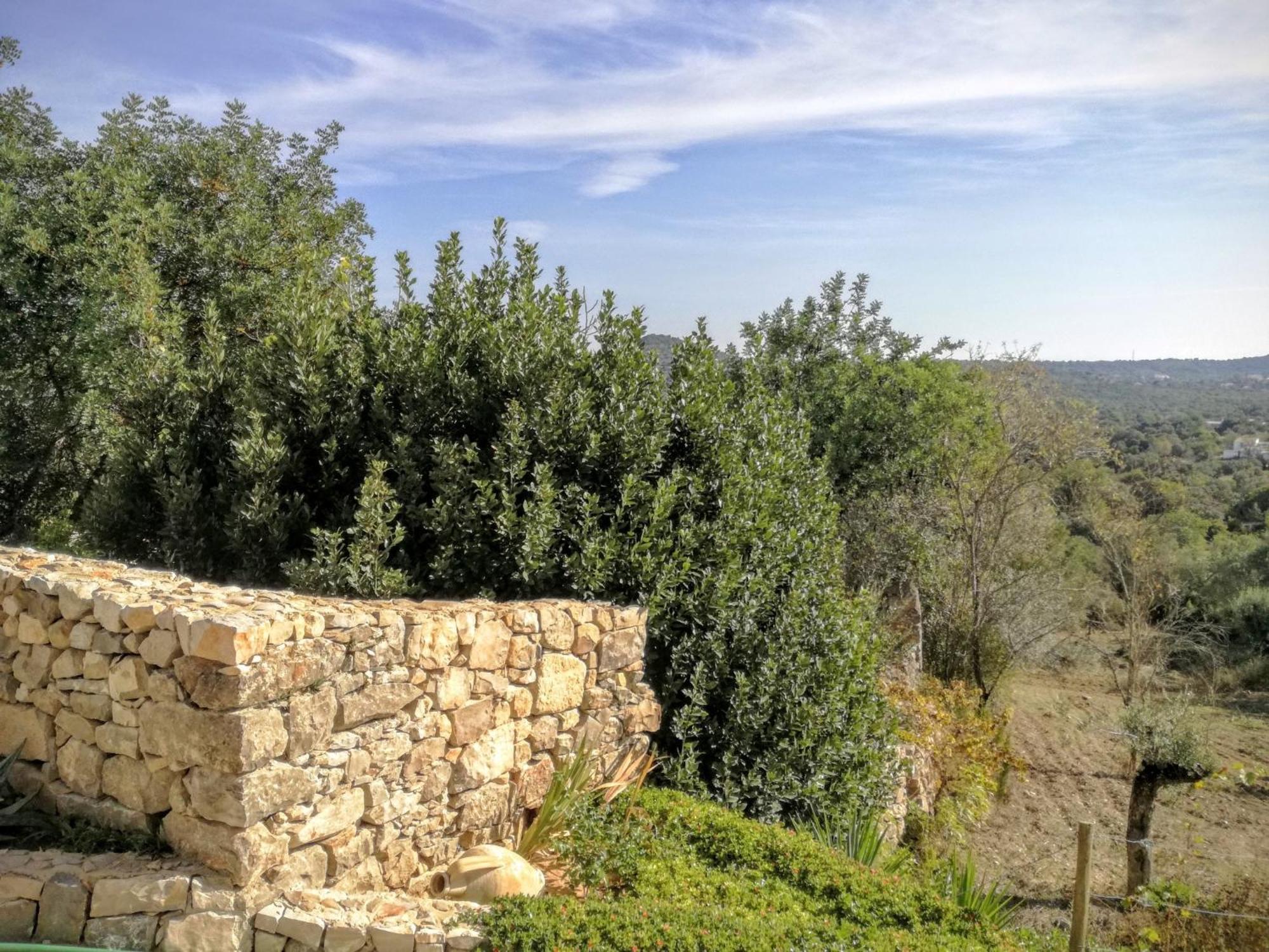 Vila Monte Da Ribeira Estoi Pokoj fotografie